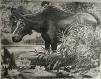 Выставка «В мире животных»