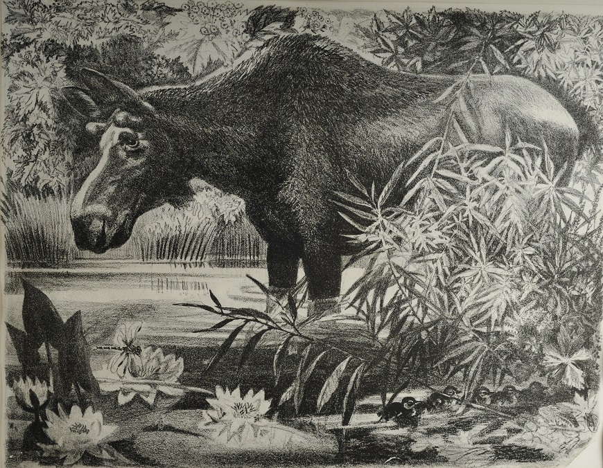 Выставка «В мире животных»