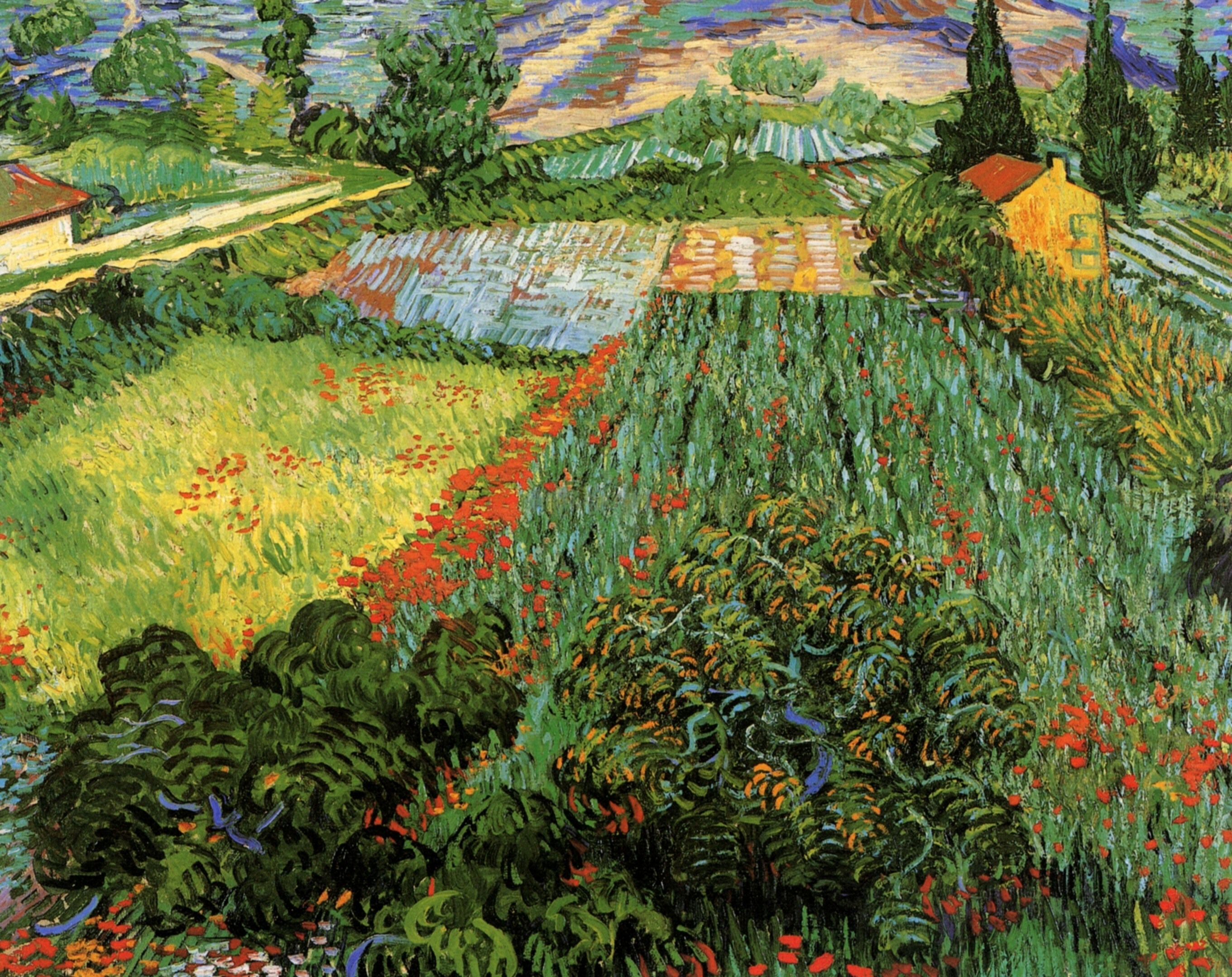 Развивающее занятие  «Цветущие поля в стиле Винсента Ван Гога»  9 июля