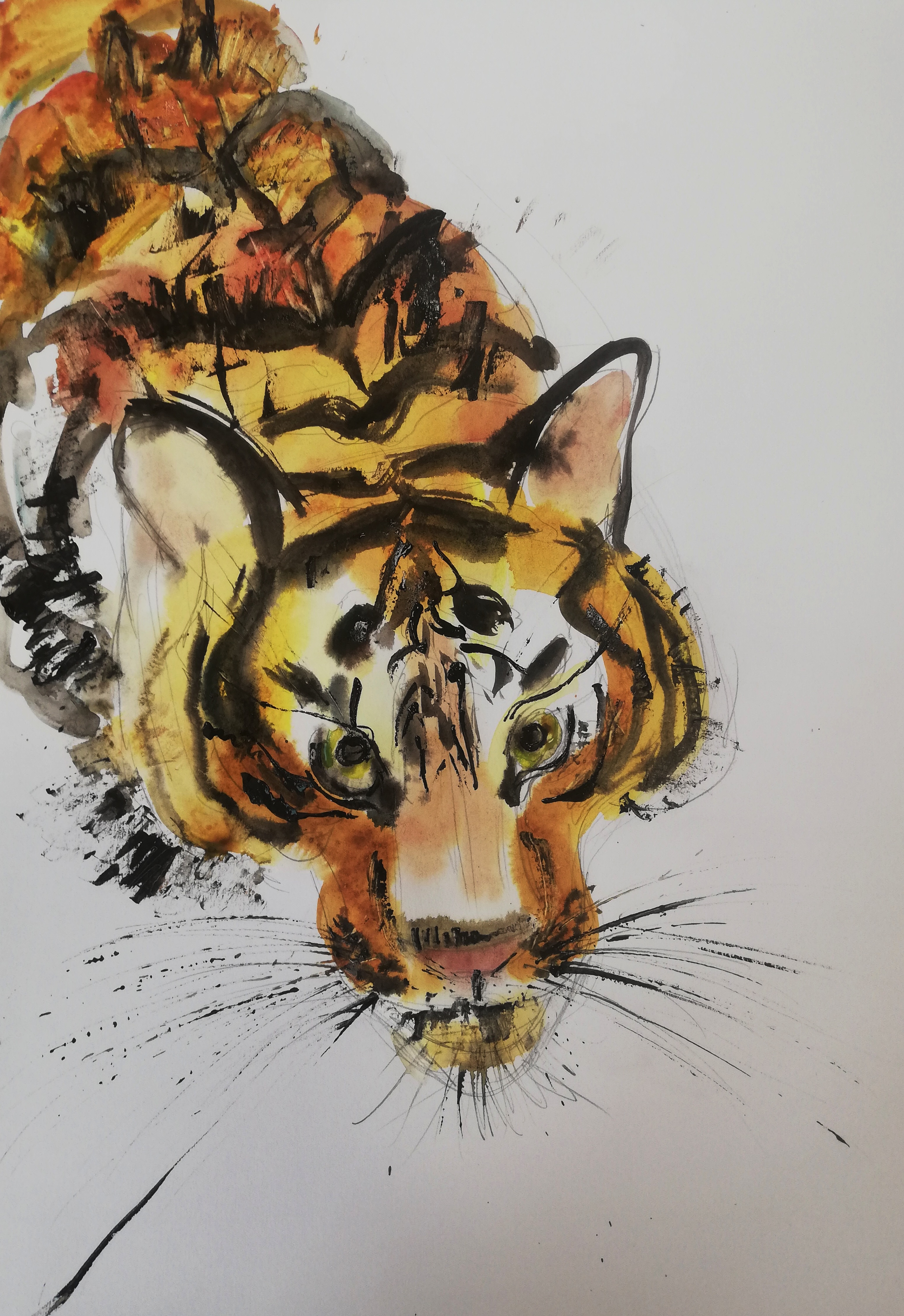 Серия мастер-классов «Кошачие истории» Бенгальский тигр (сухая кисть, бумага)