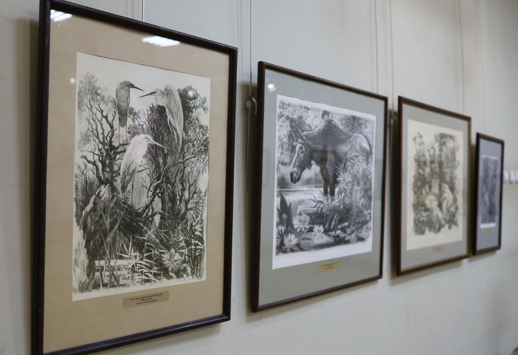 В мире животных, Музей, афиша,живопись,картины,выставки,художники. Ростов-на-Дону